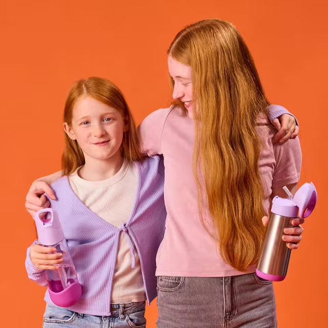 Bbox Insulated Drink Bottle 500ml Sugar Plum