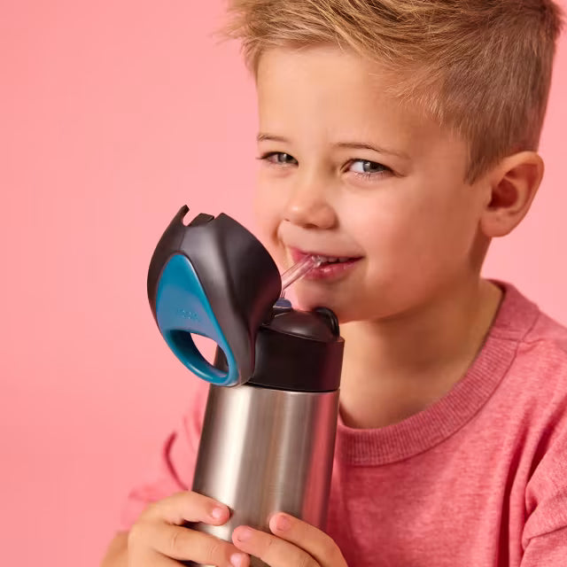 Bbox Insulated Drink Bottle 500ml Night Vision