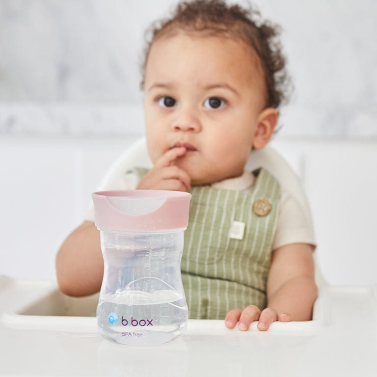 B.Box Accessory Feeding B.Box Transition Value Pack