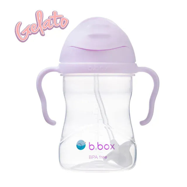B.Box Accessory Feeding Sippy Cup V2 Boysenberry