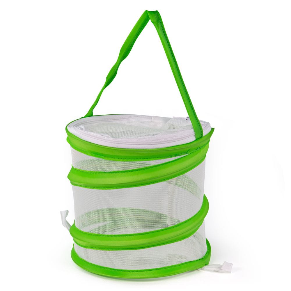 Big Jigs Toys Toys Pop up Bug Box