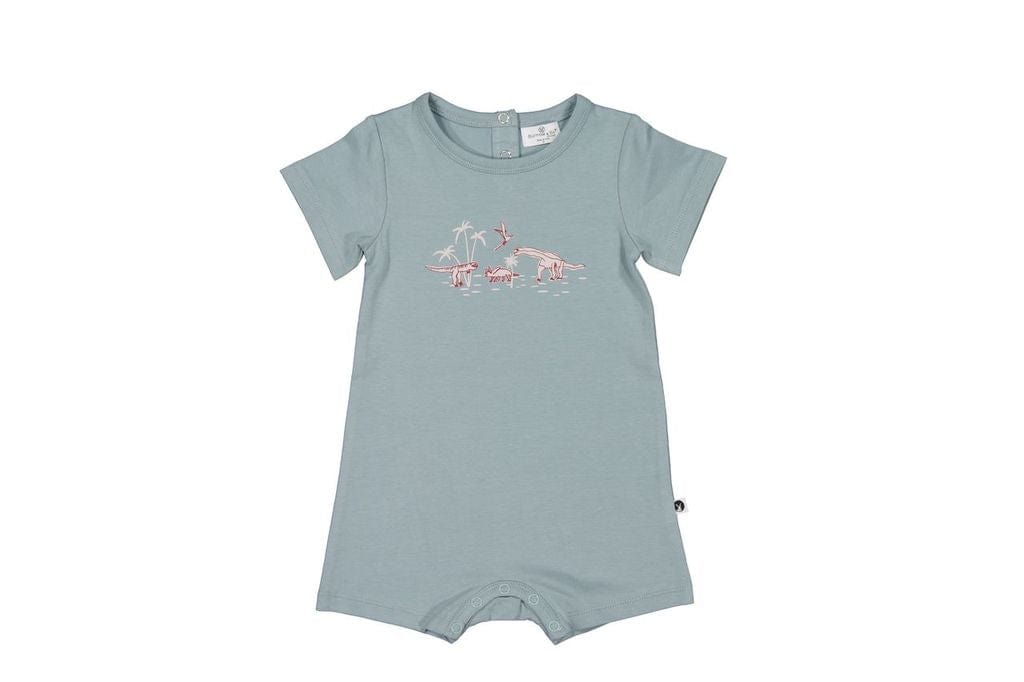 Burrow & Be Boys All In Ones 0-3M Dino Roar Placement Alex Romper