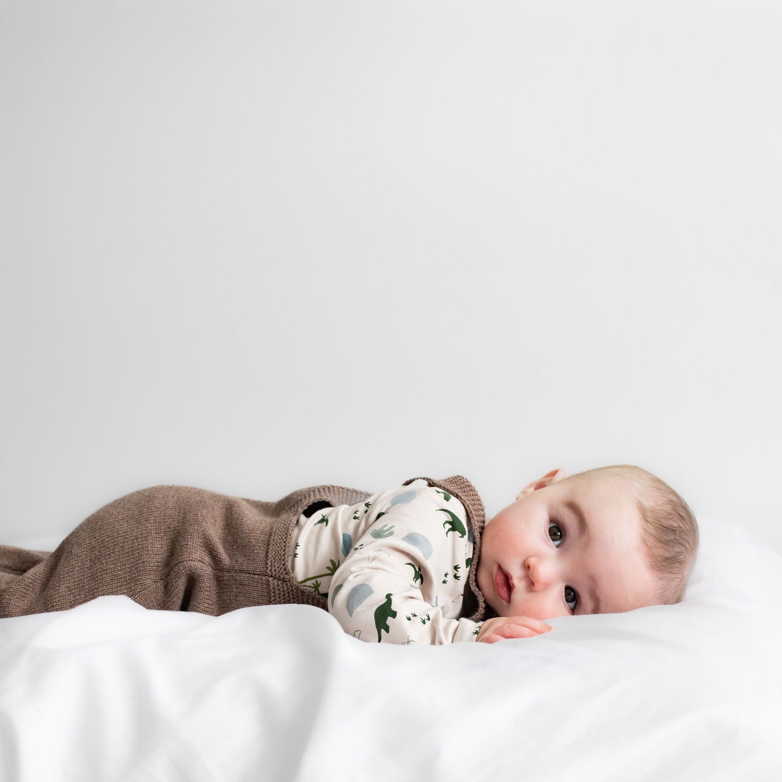Burrow & Be Boys Onesie Jurassic Roam Long Sleeve Bodysuit