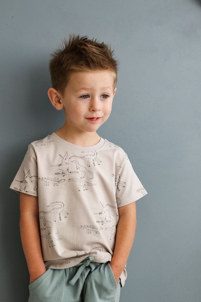 Burrow & Be Boys Tops 1Y Dino Roar T Shirt