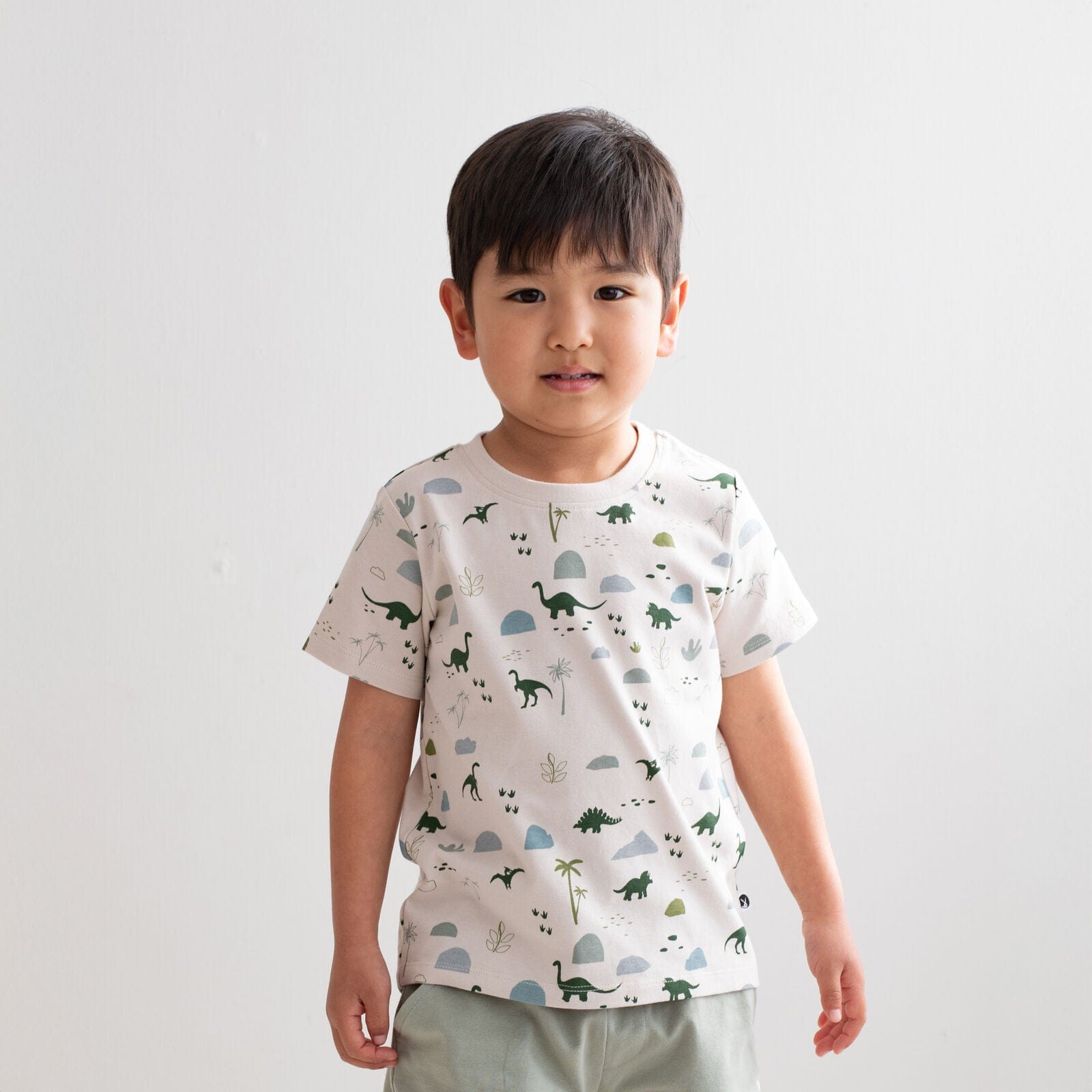 Burrow & Be Boys Tops 1Y Jurassic Roam T-Shirt