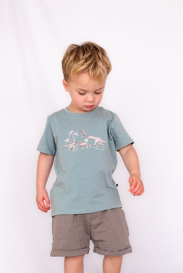 Burrow & Be Boys Tops Dino Roar Placement T Shirt