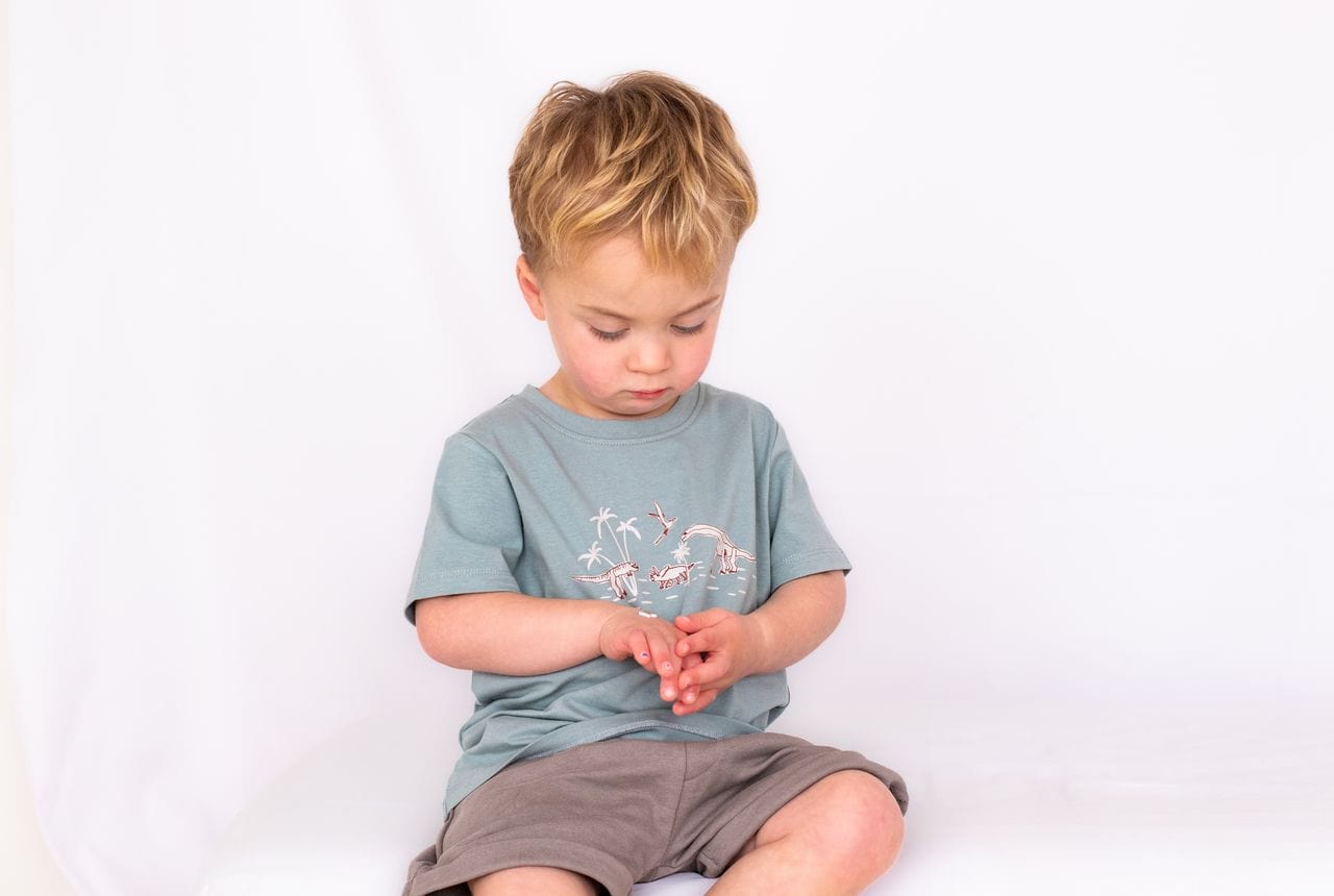 Burrow & Be Boys Tops Dino Roar Placement T Shirt