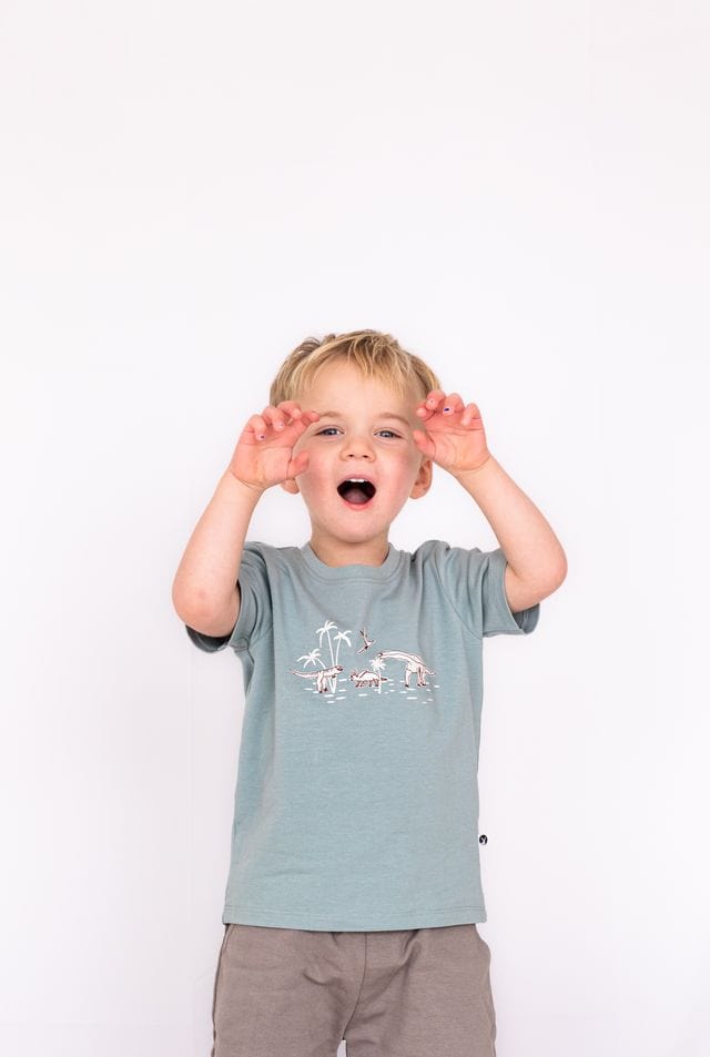 Burrow & Be Boys Tops Dino Roar Placement T Shirt