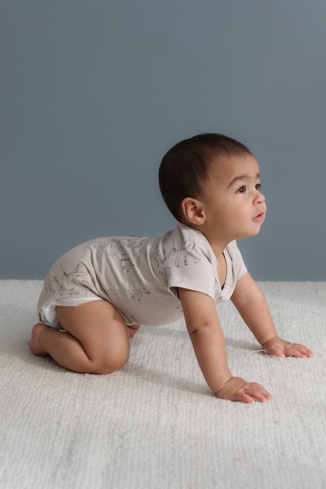 Burrow & Be Unisex Onesie Dino Roar Short Sleeve Bodysuit