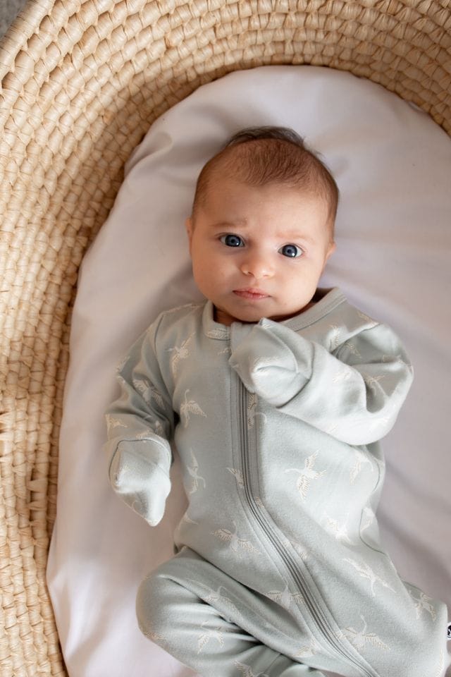 Burrow & Be Unisex Onesie Swan Flight Long Sleeve Zip Suit