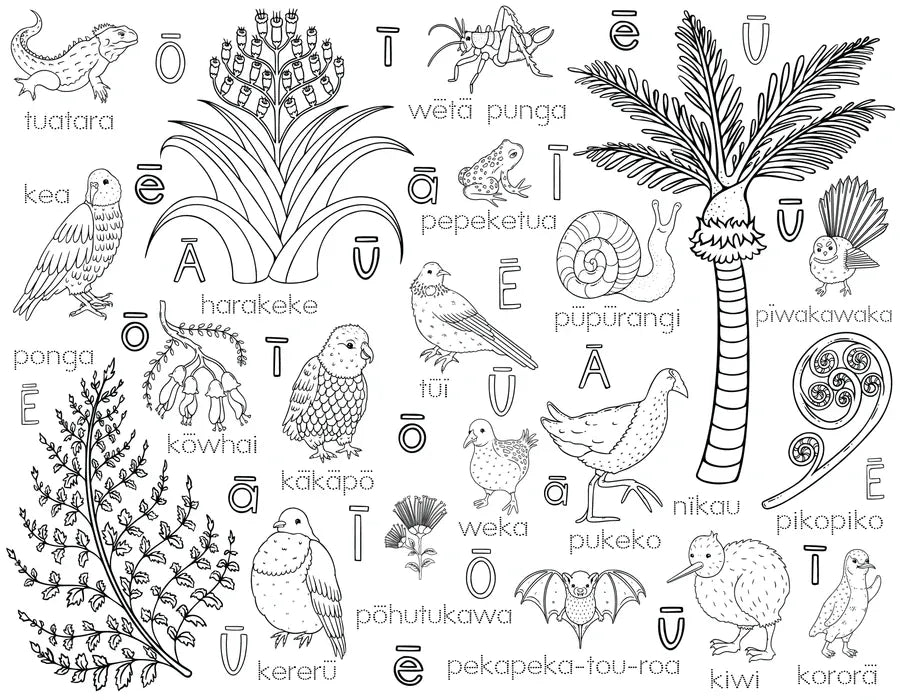 Colour Me Kids Accessory Feeding Hoa o te Ngahere Washable, Reusable Colouring-In Solo Mats with Pens