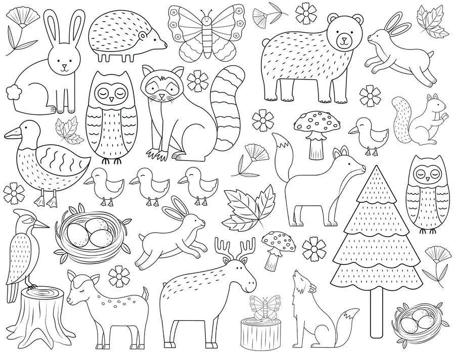Colour Me Kids Accessory Feeding Woodland Wonders Washable, Reusable Colouring-In Solo Mats with Pens