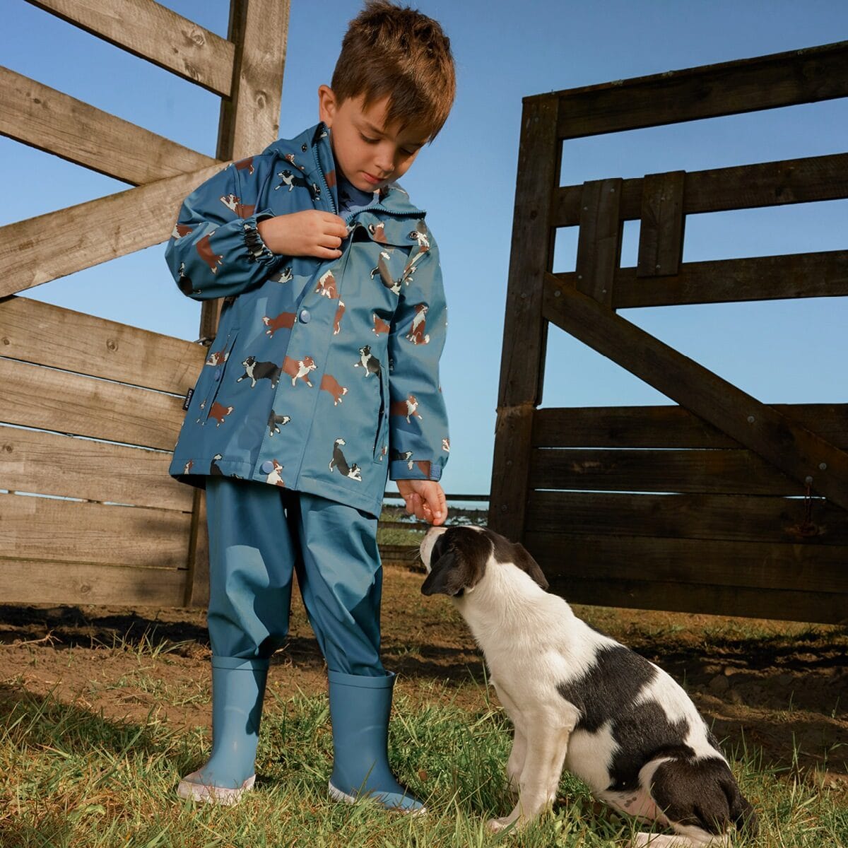 Crywolf boys Jacket 2Y PLAY JACKET Collies