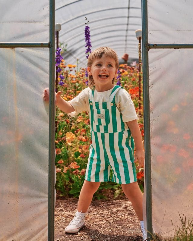 Goldie + Ace Boys All In Ones Happy Stripe Button Burton Overall