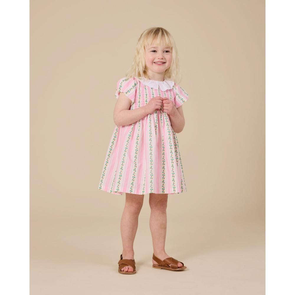 Goldie + Ace Girls Dress 2Y Antique Stripe Strawberry Flo Smocked Dress
