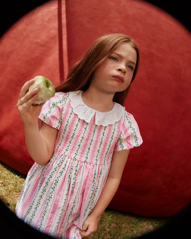 Goldie + Ace Girls Dress Antique Stripe Strawberry Flo Smocked Dress