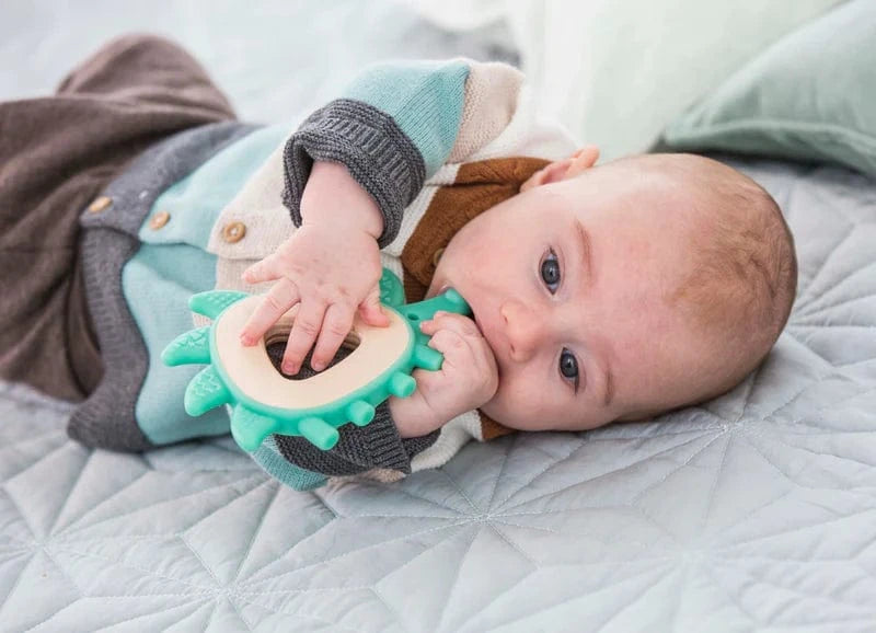 Hape Baby Accessory Teether Hedgehog