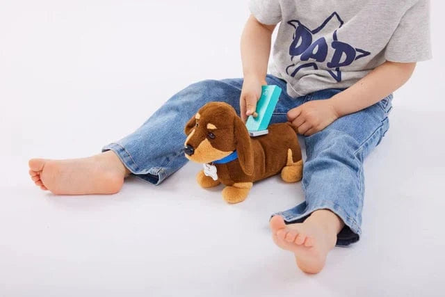 Hape Toys Puppy Care Clinic Vet Set