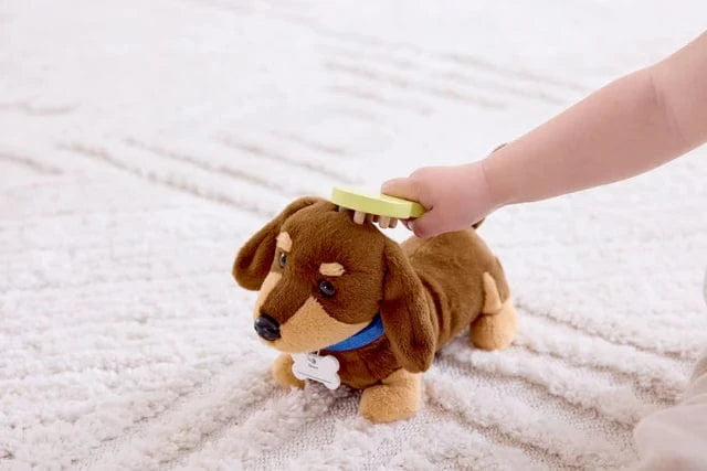 Hape Toys Puppy Care Clinic Vet Set