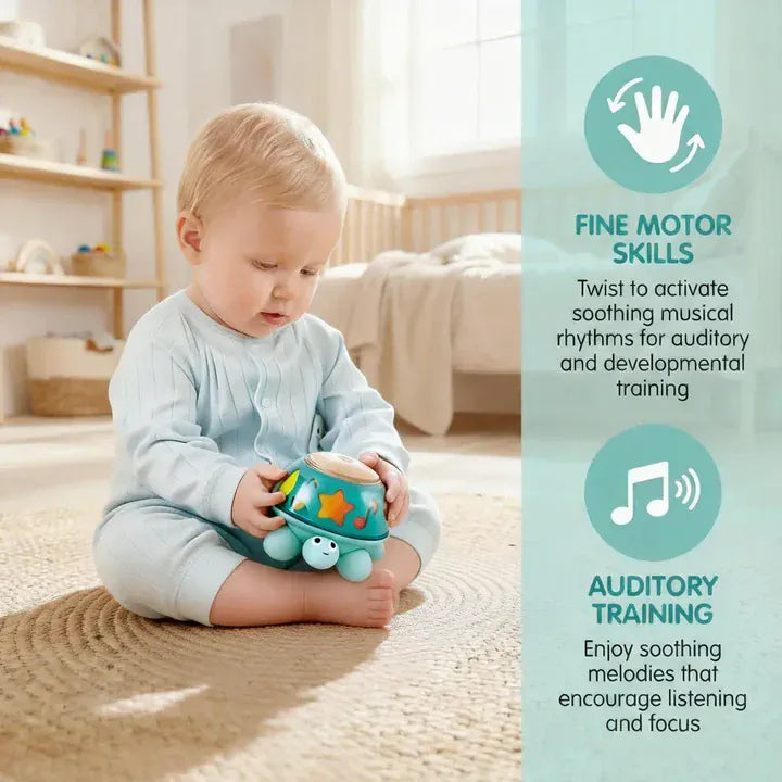 Hape Toys Twist & Tune Turtle