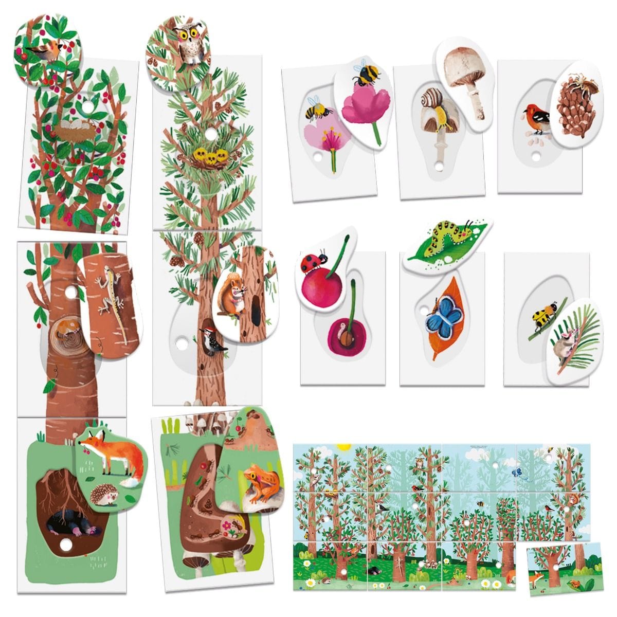 Headu Toys Flashcards My First Nature (Montessori)