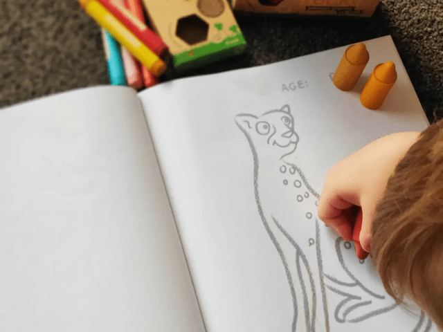Honeysticks Toys Honeysticks Colouring Book