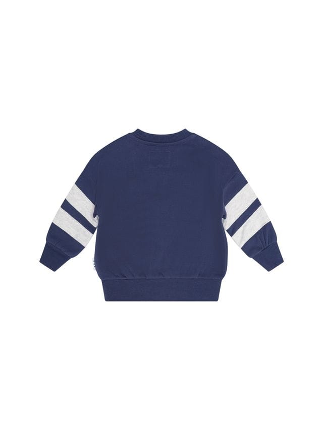 Huxbaby Boys Jumper Hux Flock Spliced Sweatshirt