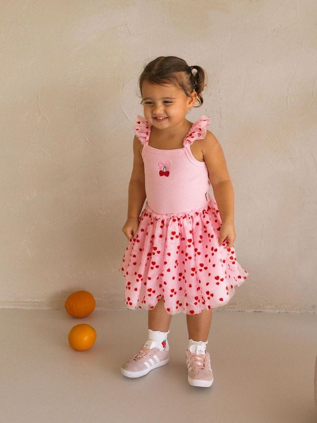 Huxbaby Girls Dress 3Y Icing-On-The-Cupcake Flocked Tulle Dress