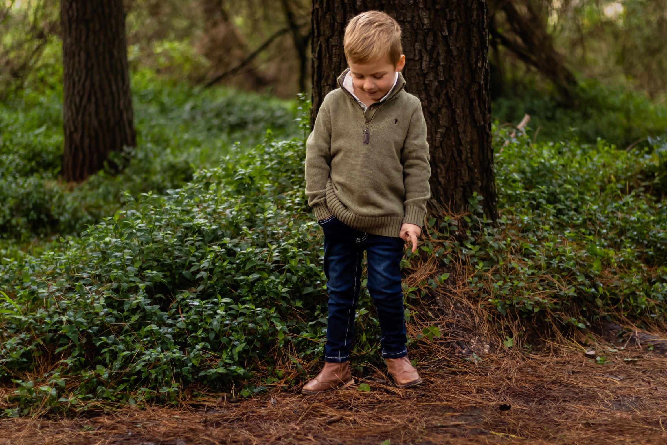 Jubee & Co Boys Jumper Charlie Knit Jumper