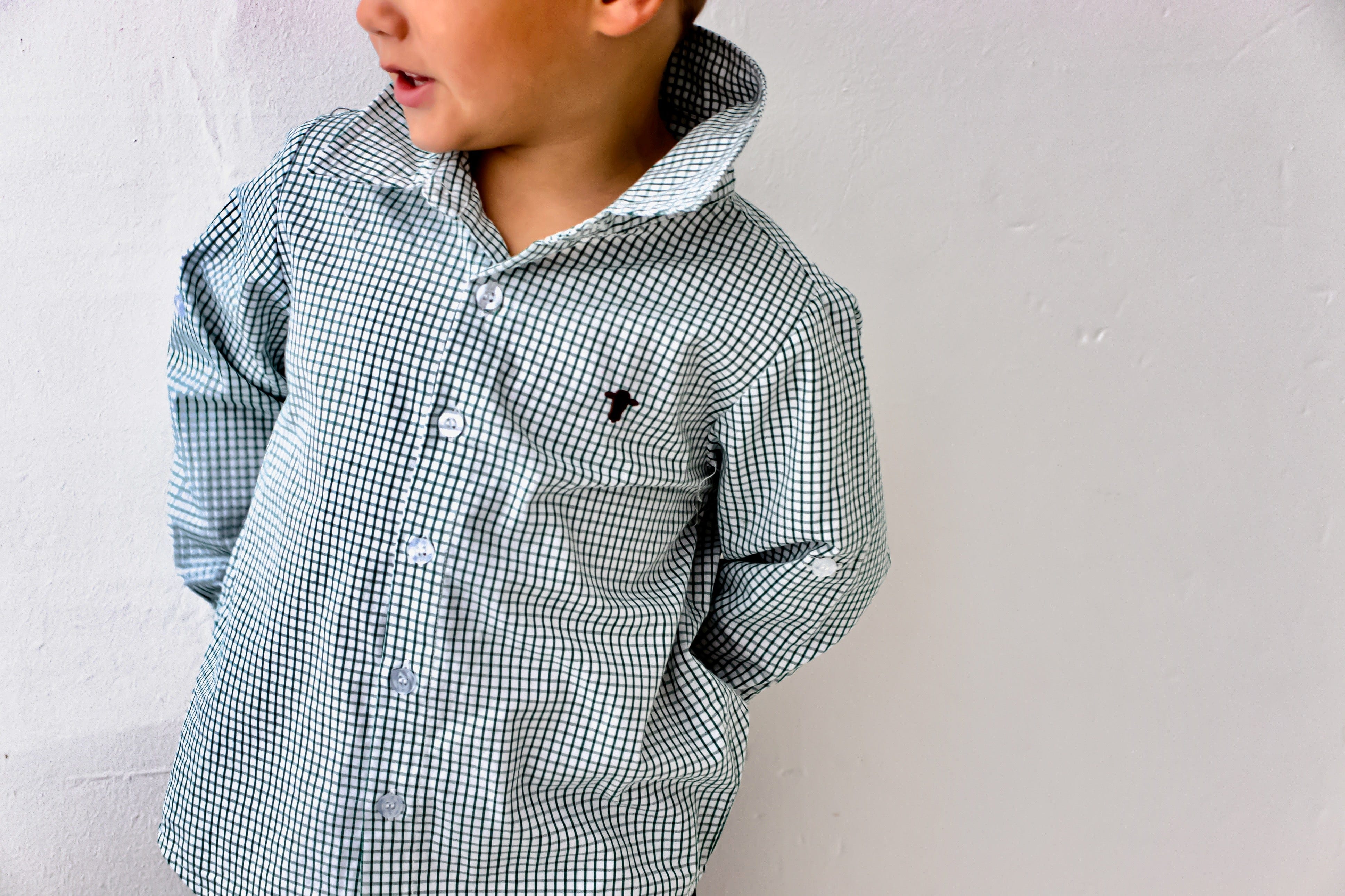 Jubee & Co Boys Tops James Shirt