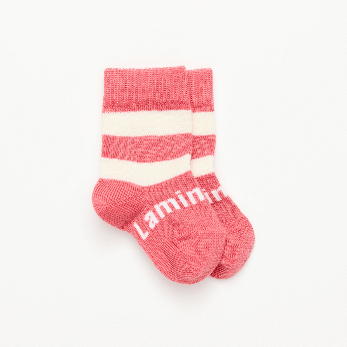 Lamington Accessory Socks Lamington Merino Crew Socks - Candy