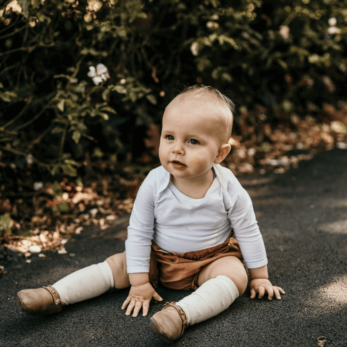 Lamington Accessory Socks Lamington Merino Wool Knee High Socks