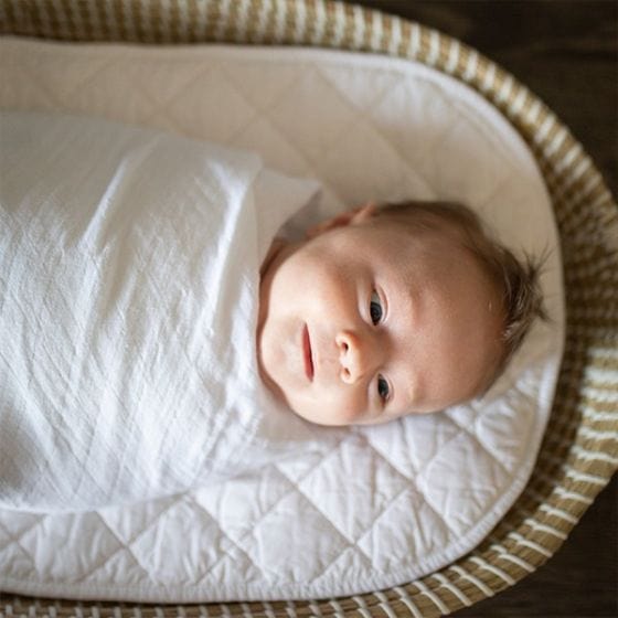Little Bamboo Baby Accessory Little Bamboo Muslin Wrap 3Pk - Retro Blue