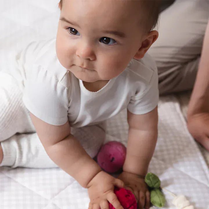 Living Textiles Toys Mini Market Brunch Stroller Toys 2 Pack