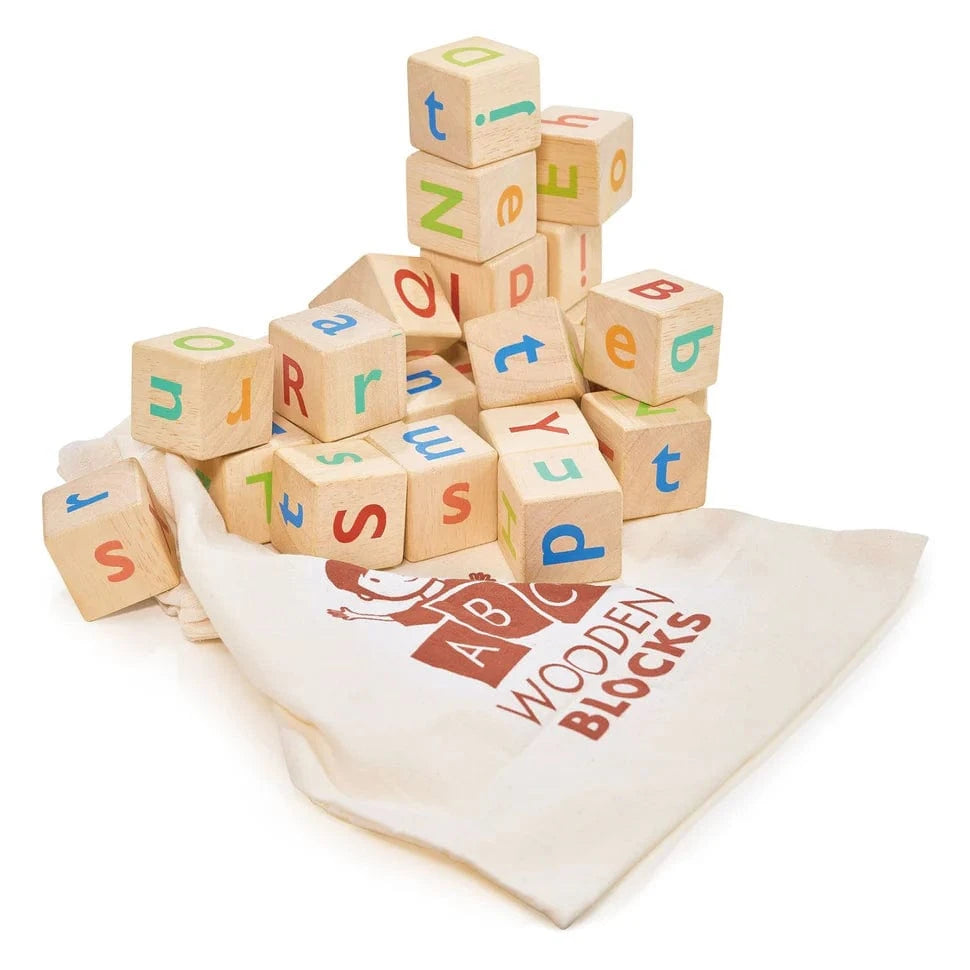 Mentari Toys Alphabet Spelling Blocks