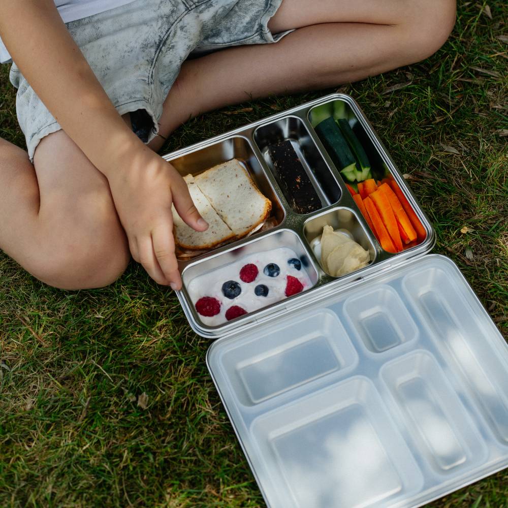 Nestling Accessory Feeding Nestling Stainless Steel Jumbo Bento Box