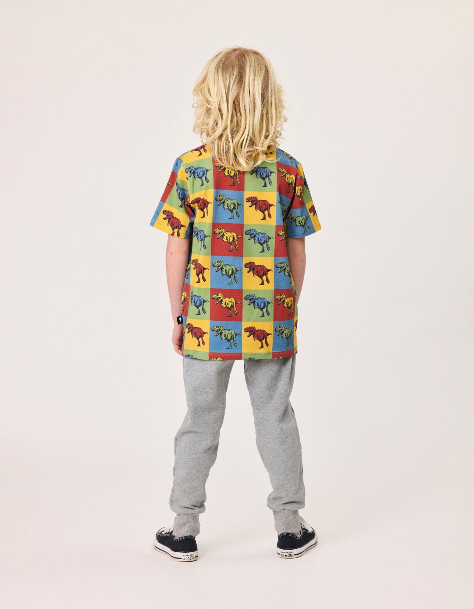 Radicool Dude Boys Tops Dino On Repeat Tee