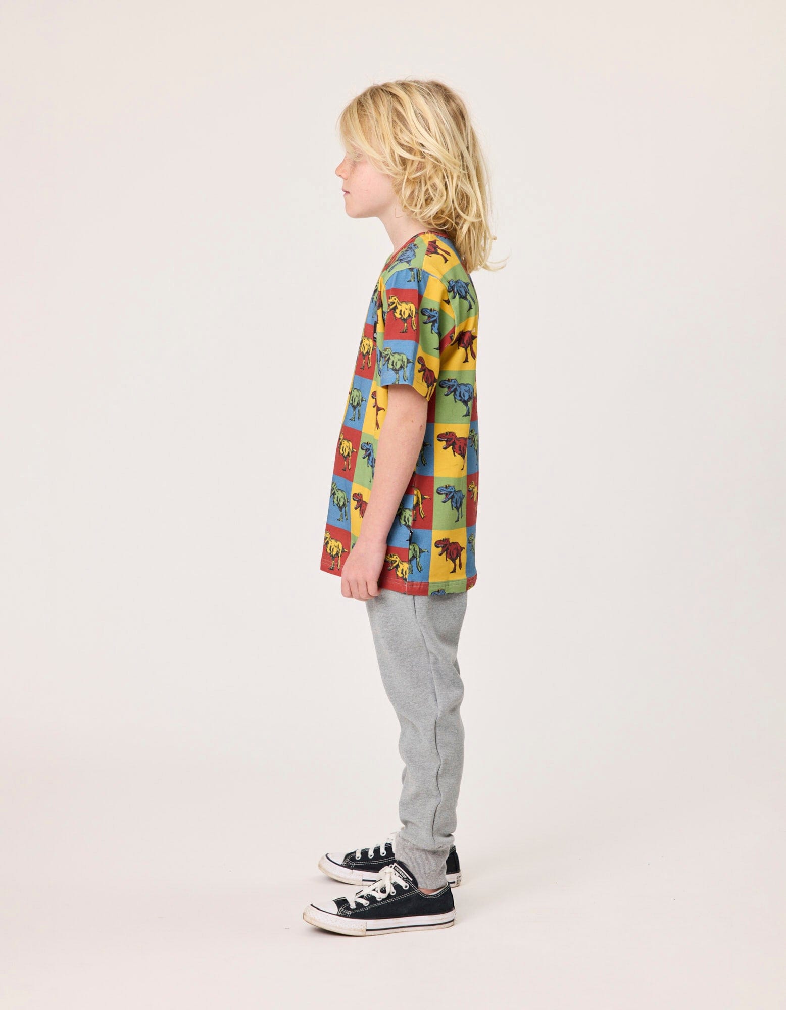 Radicool Dude Boys Tops Dino On Repeat Tee