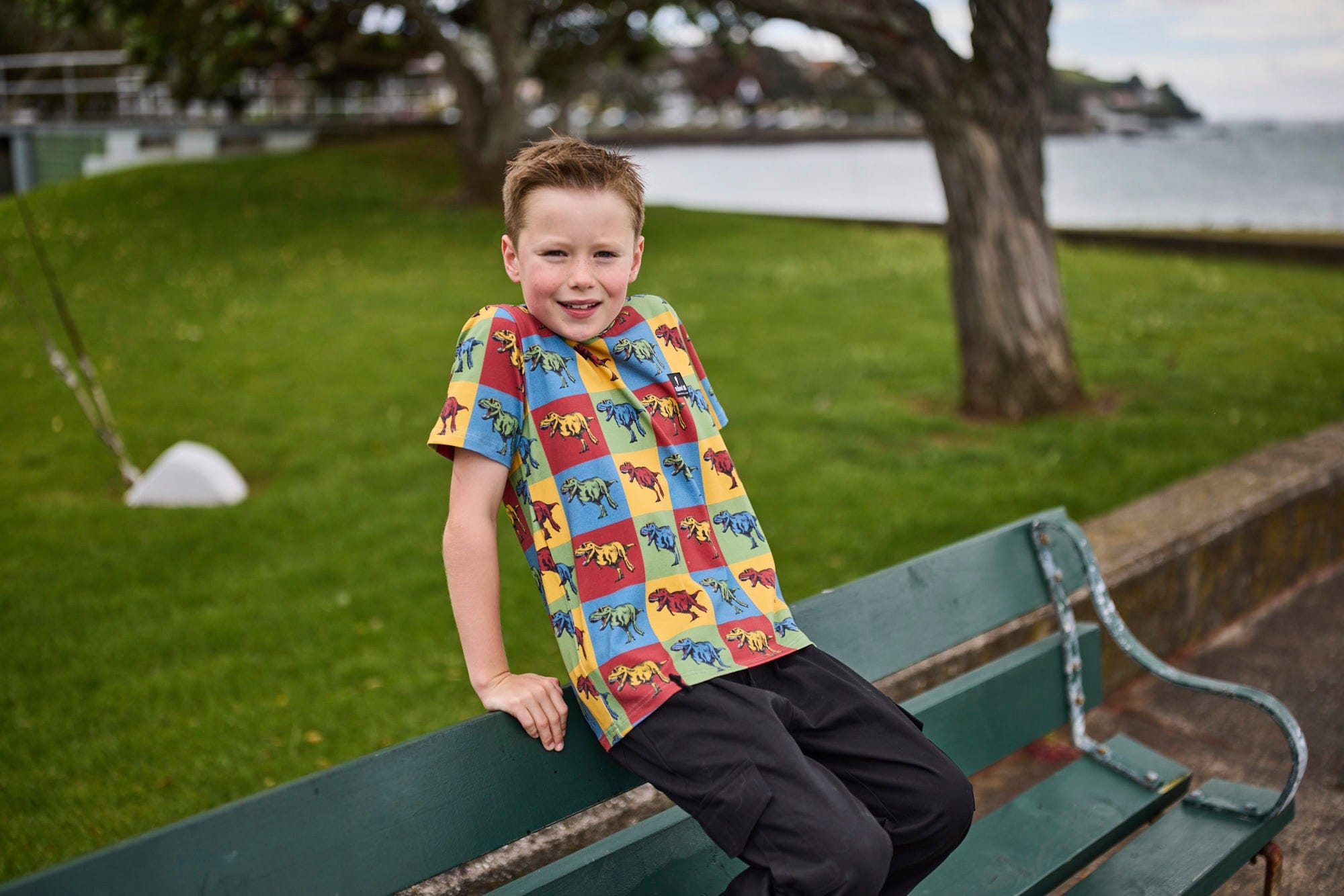 Radicool Dude Boys Tops Dino On Repeat Tee