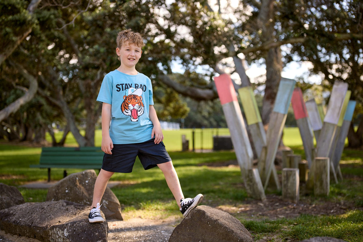Radicool Dude Boys Tops Rad Tiger Tee