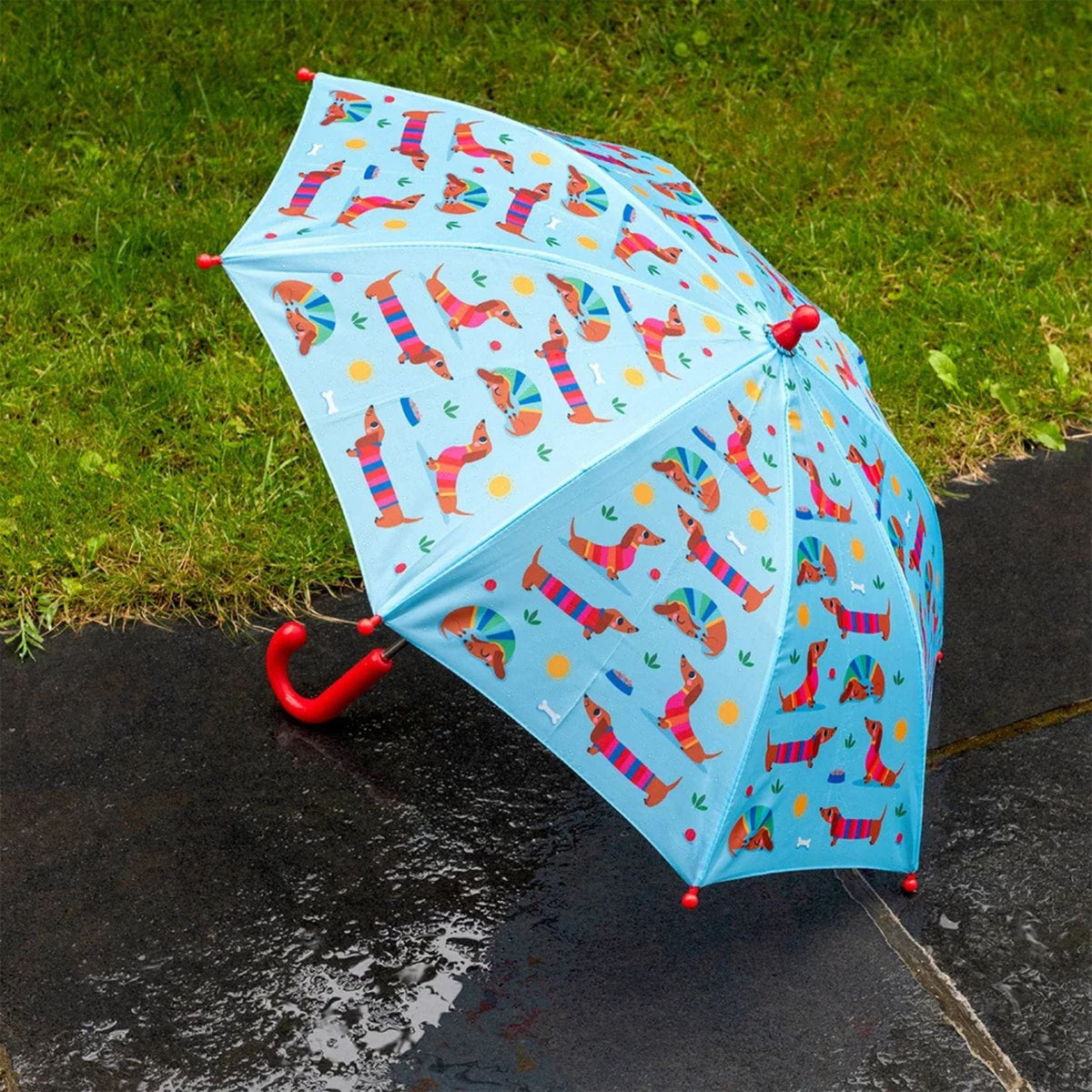 Rex London Children Accessories Children's Push-Up Umbrella - Sunny Sausage Dog