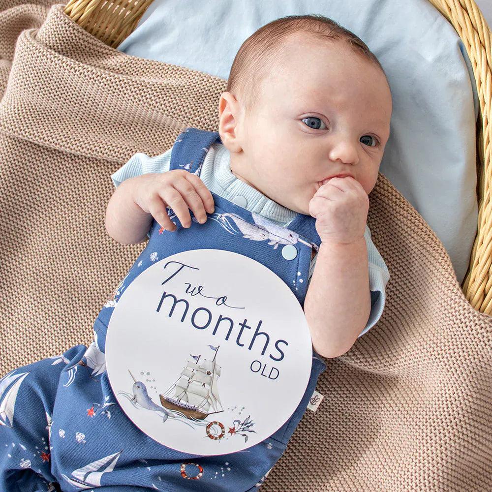 Snuggle Hunny Kids Gift Misc Set Sail & Navy Reversible Milestone Cards
