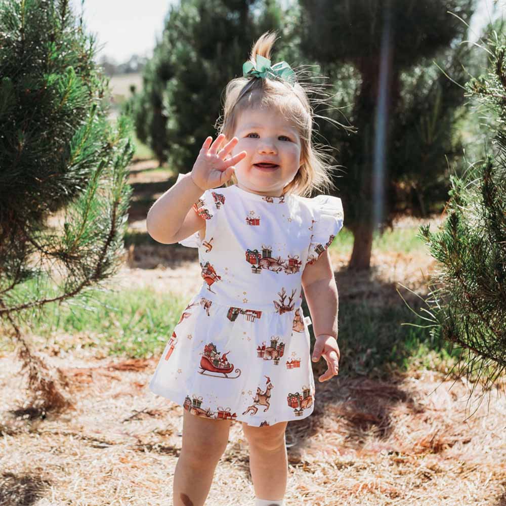 Snuggle Hunny Kids Girls Dress Reindeer Organic Dress