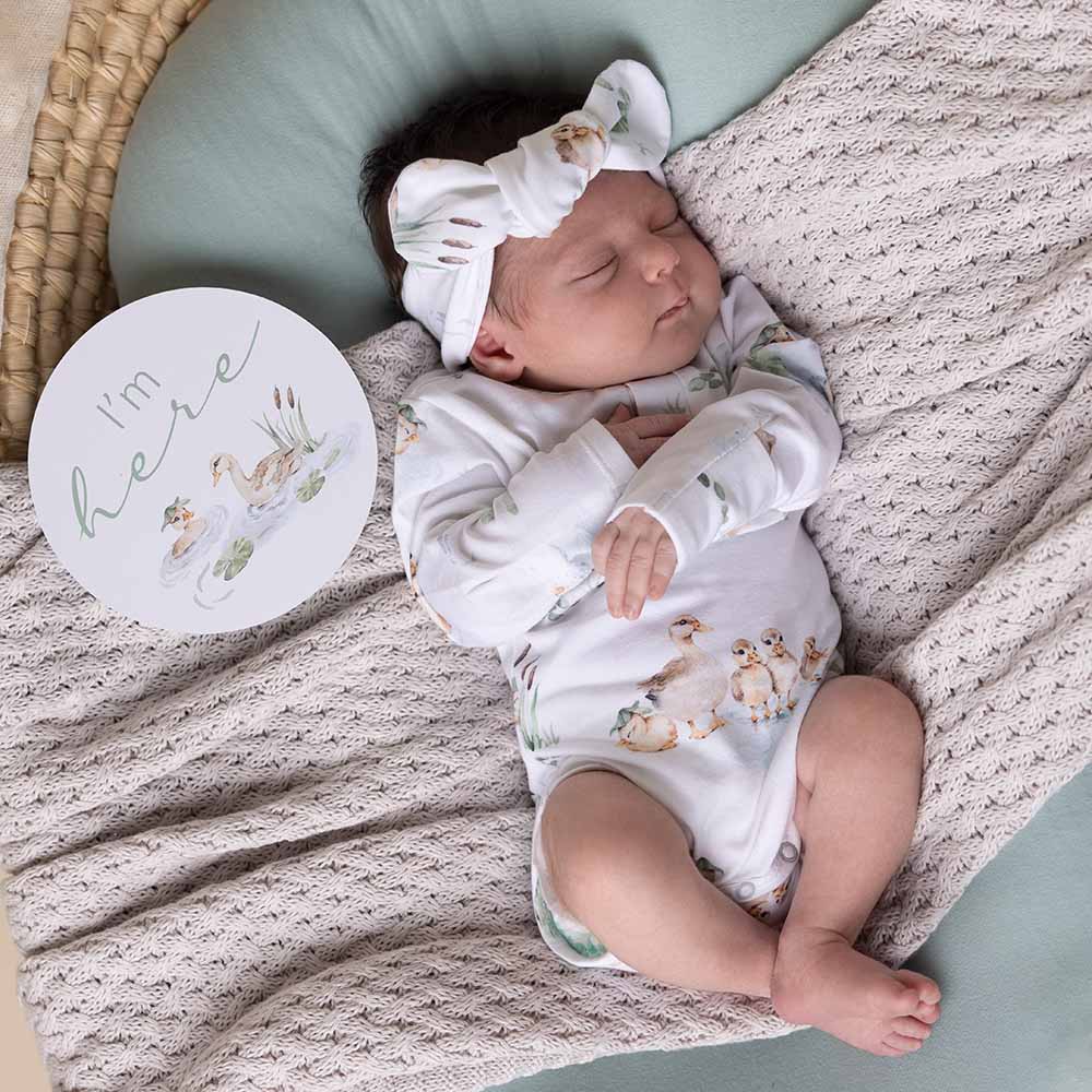 Snuggle Hunny Kids Unisex Onesie Duck Pond Long Sleeve Organic Bodysuit