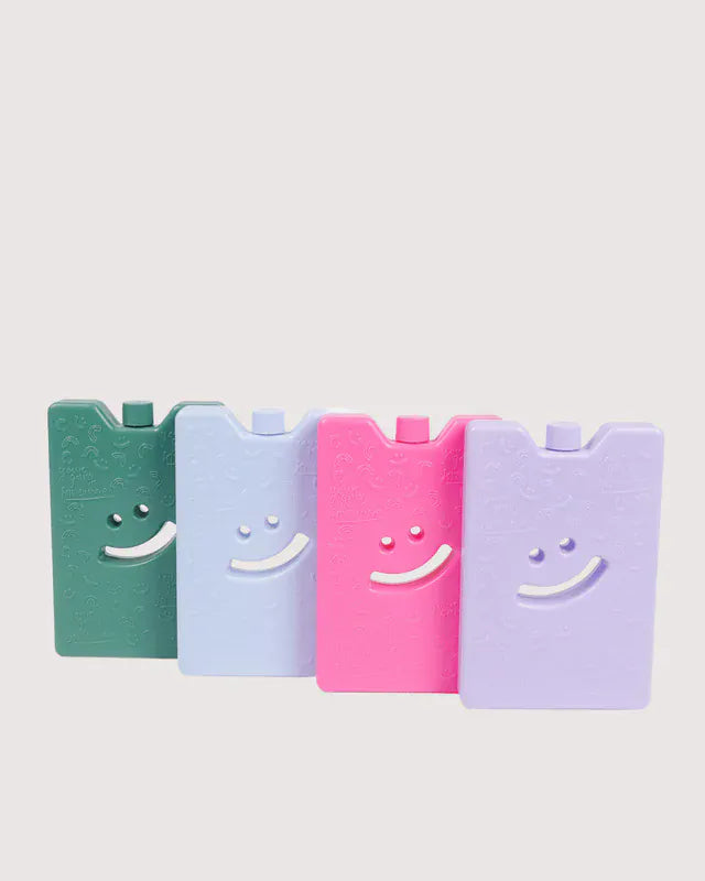The Somewhere Co. Bags Ice Brick