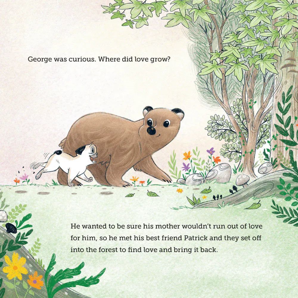 Wilding Books Childrens Books Patrick & George - New Siblings & A Search For Love