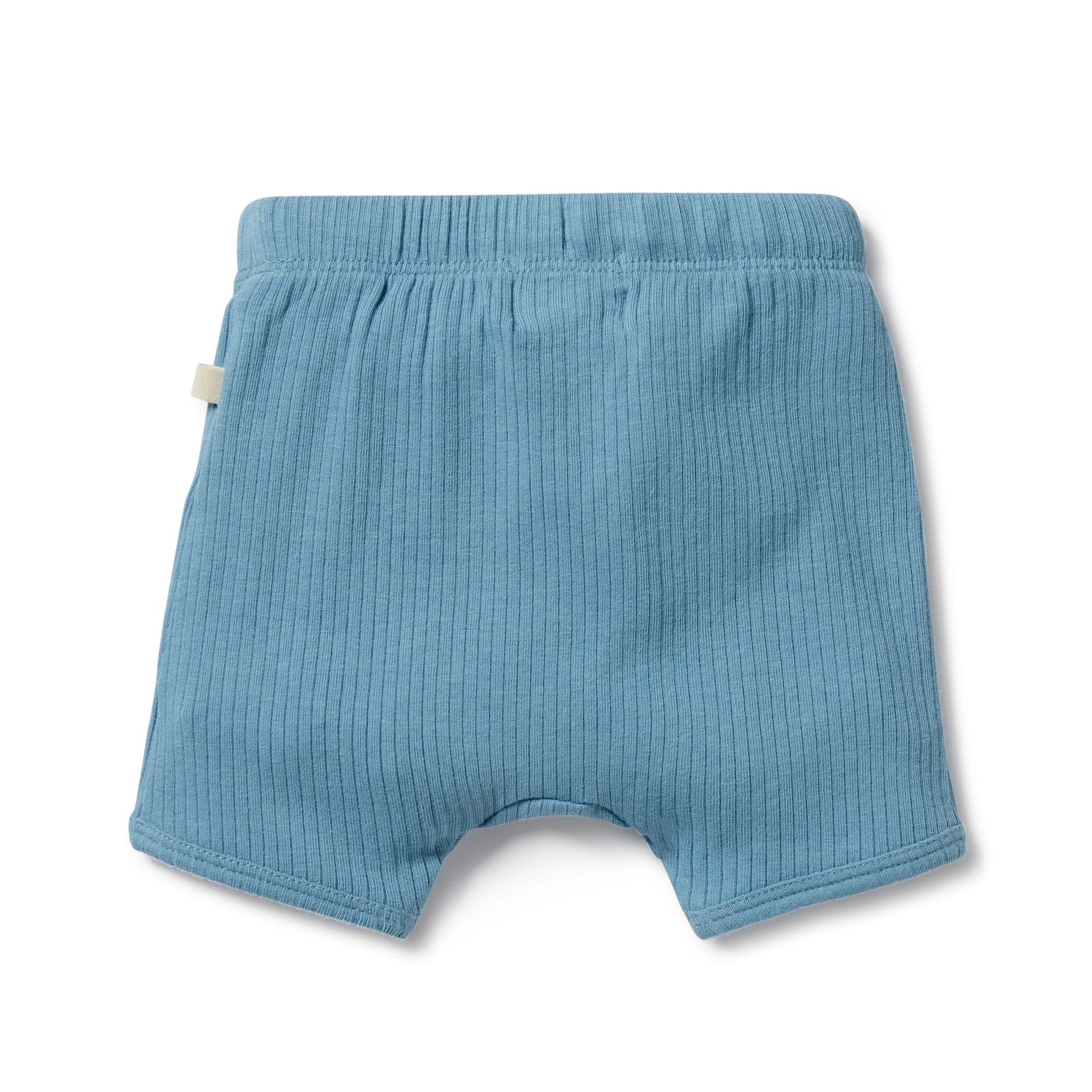 Wilson & Frenchy Boys Bottoms Sky Blue Organic Rib Short