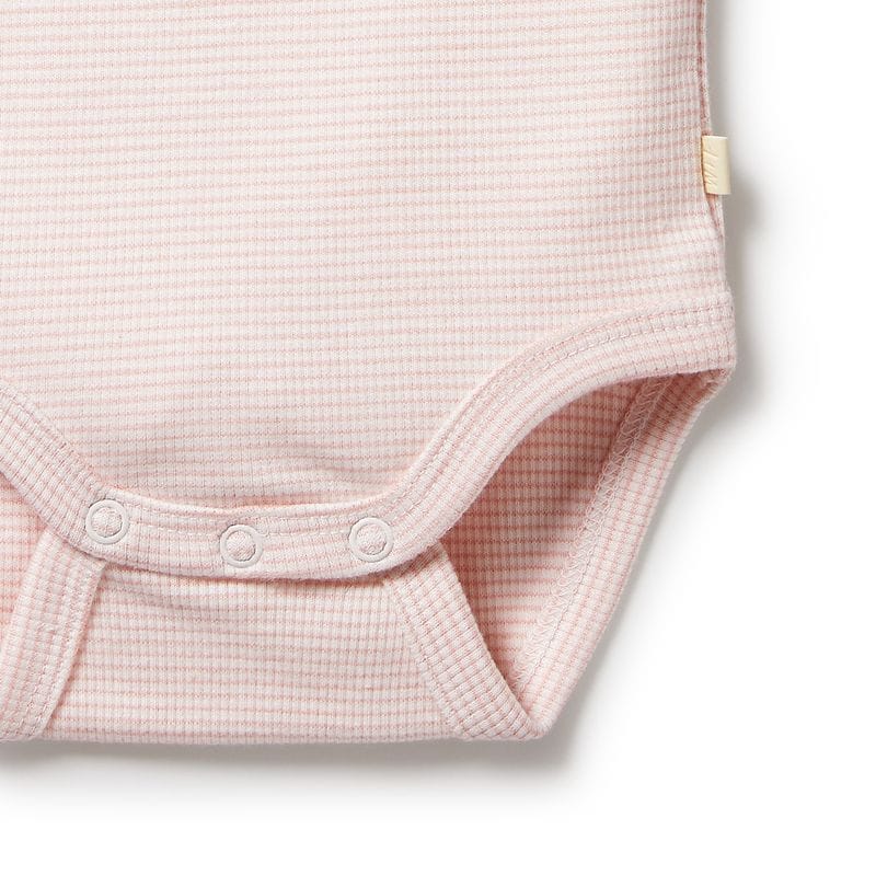 Wilson & Frenchy Girls Onesie Organic Stripe Rib Bodysuit - Cantaloupe