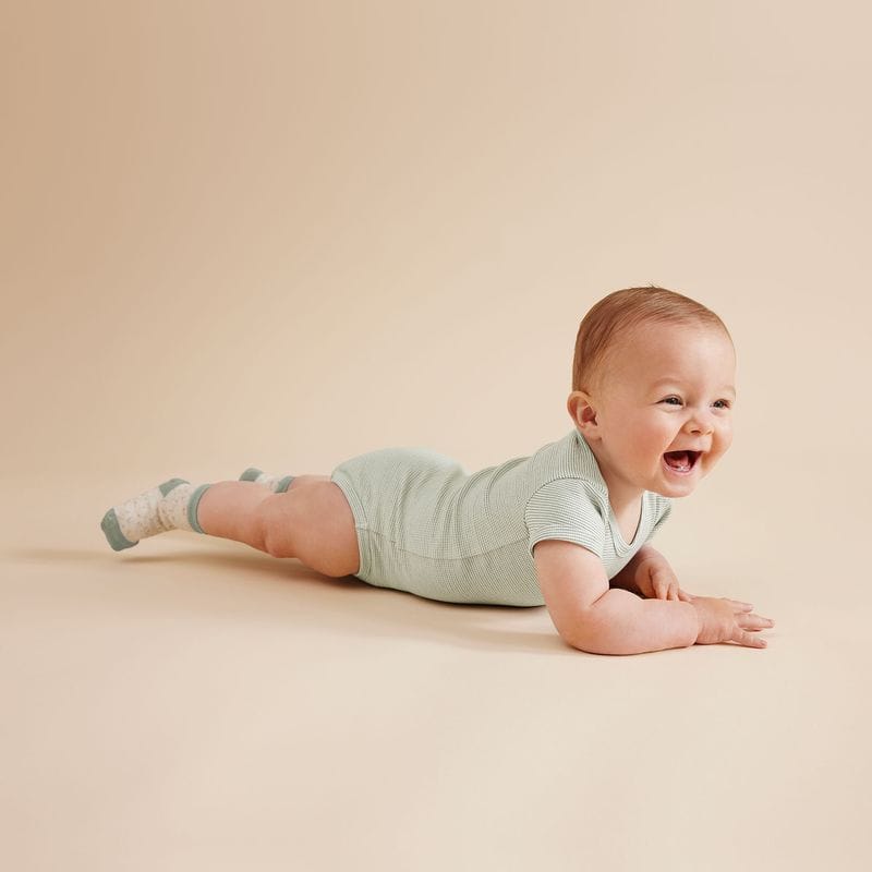 Wilson & Frenchy Girls Onesie Organic Stripe Rib Bodysuit - Fern