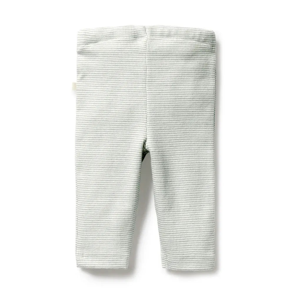 Wilson & Frenchy Unisex Pants Organic Stripe Rib Legging - Fern